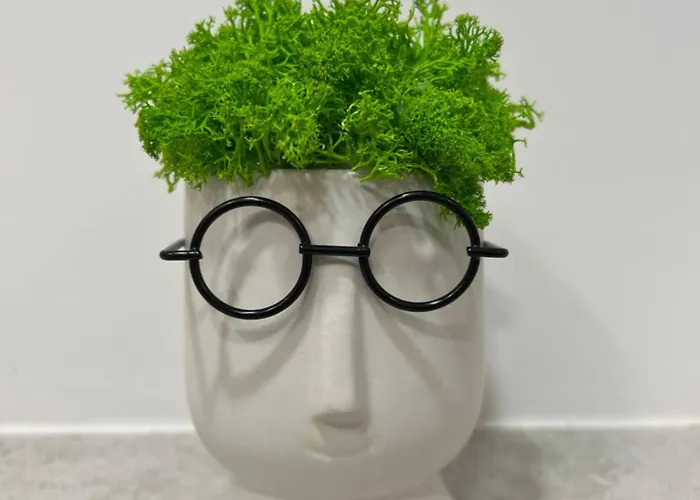 4u Plac Wolnosci 6 포즈난